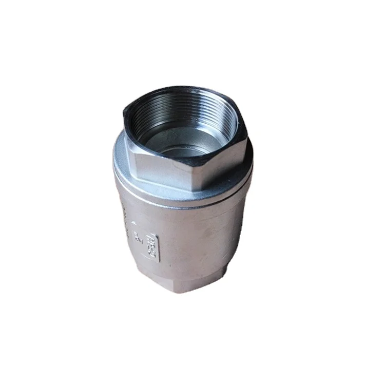 NPT Threaded Stainless Steel 304 1/2 inch Swing Check Valve
