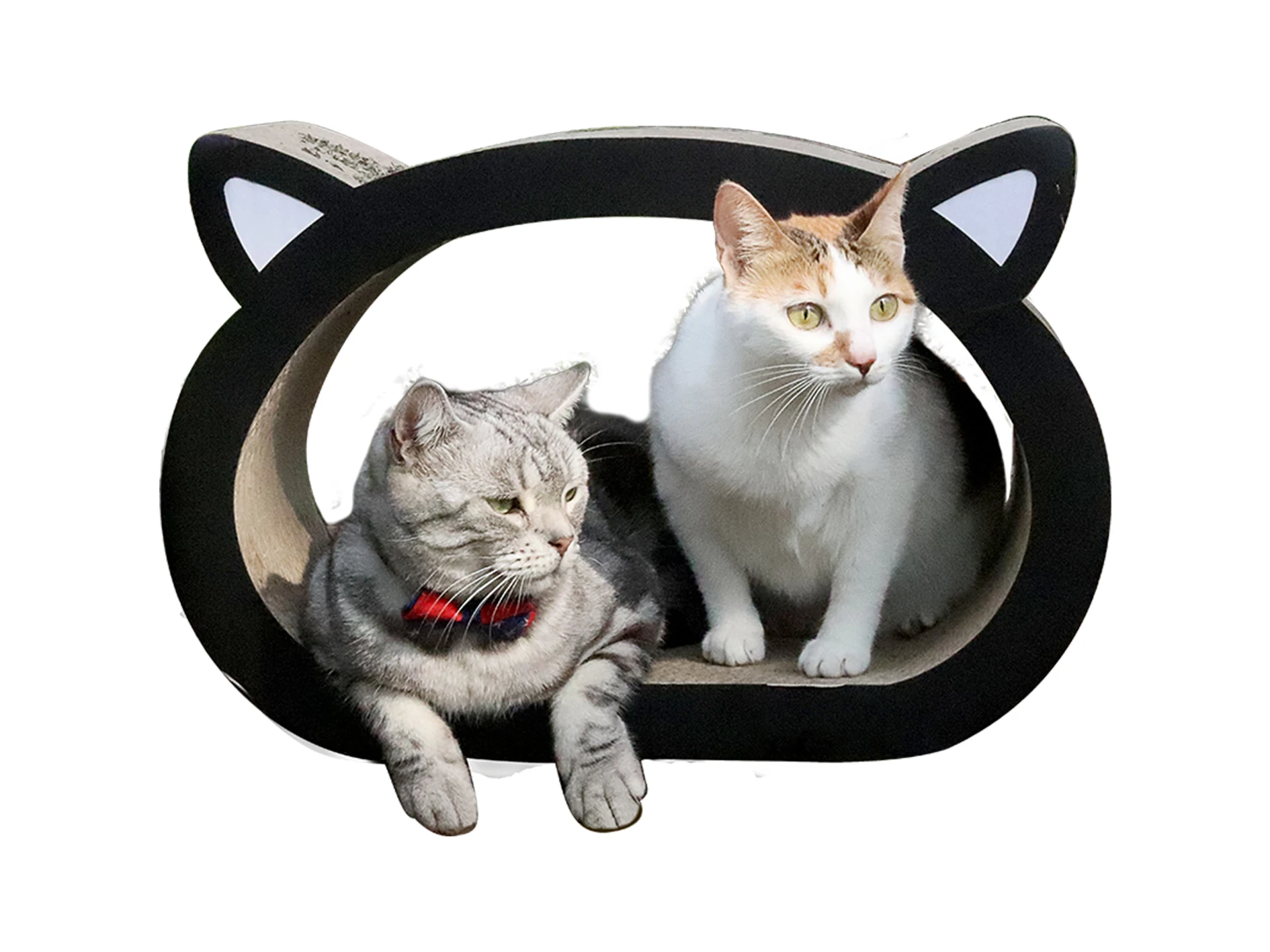 
Interesting Cultivate Feeling Cat Toys Wood at Home 