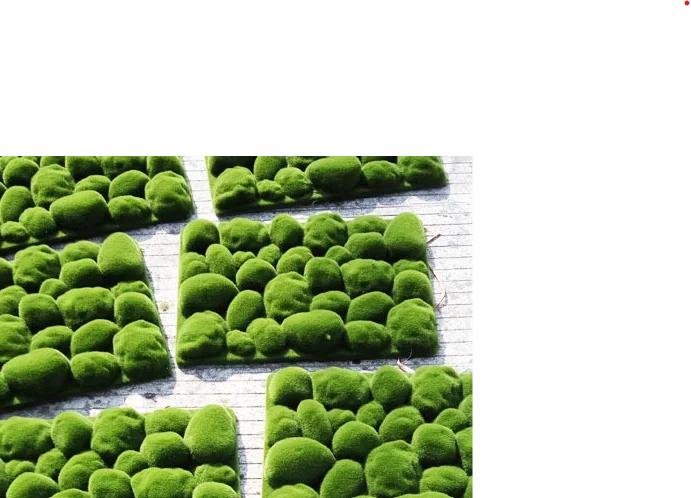 Indoor and Outdoor Home Porch Balcony Wall Decor UV Certified Faux Artificial Moss Turf Synthetic Grass for Weddings Parties