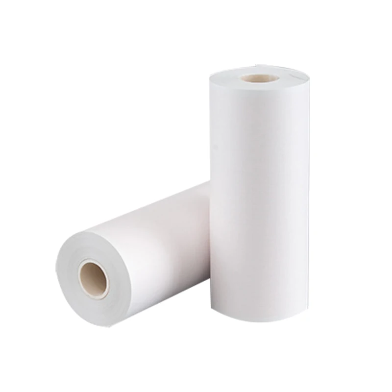 210Mmx20M 110X20 110X80  Manufacturer Ecg Paper Thermal Paper Rolls 3 Channel