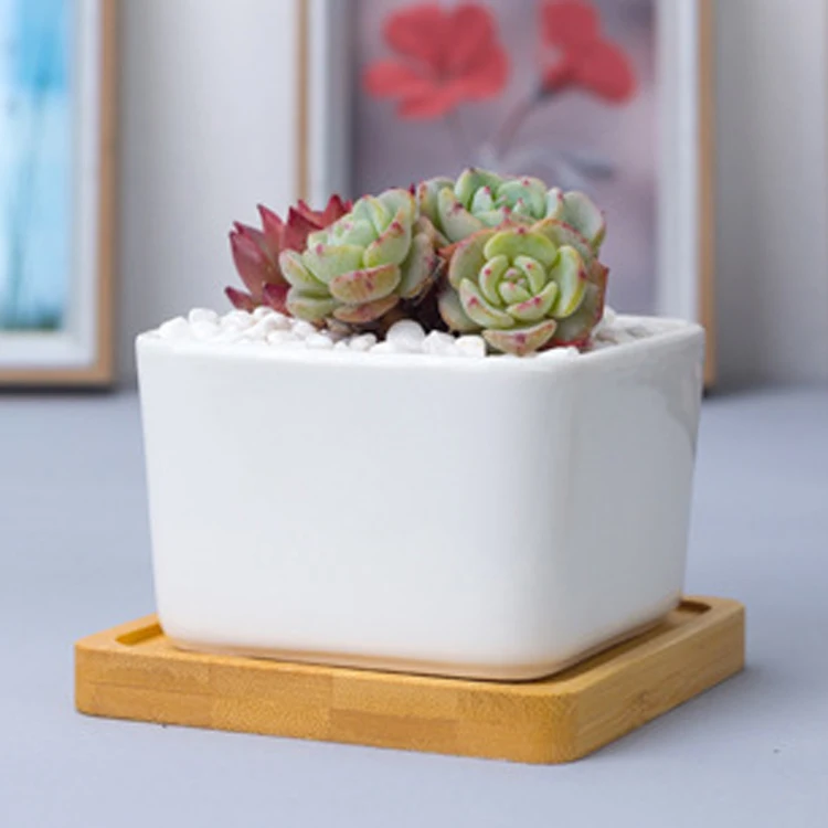 Custom white mini ceramic square succulent planter flower pot