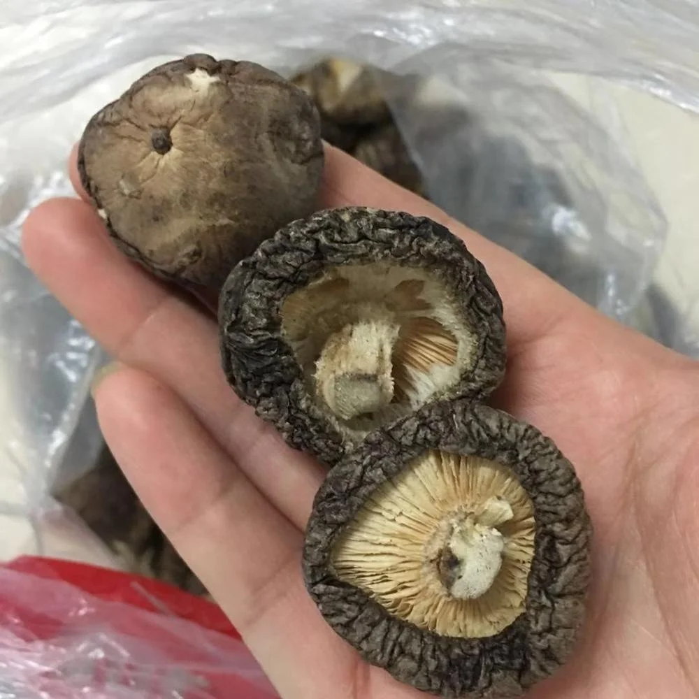 Best price shiitake mushroom dried shiitake