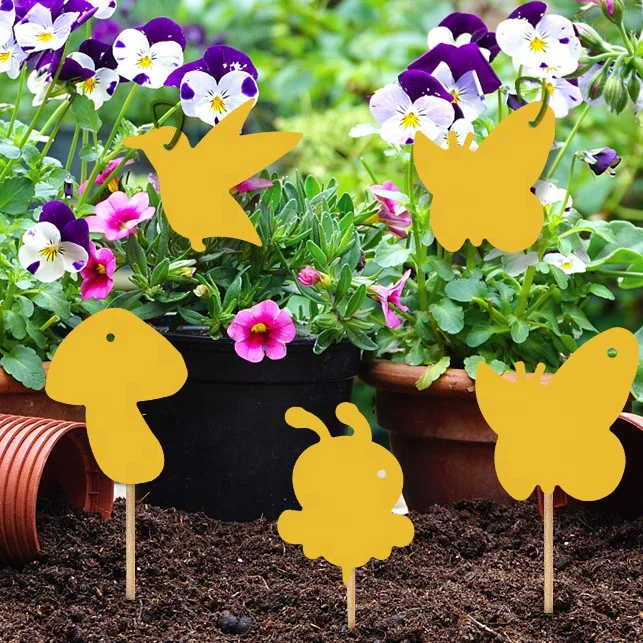 Custom New Double-Sided Powerful Glue Special-Shaped Indoor Insect Trap, Flying Insect Trap, Insect Glue Trap