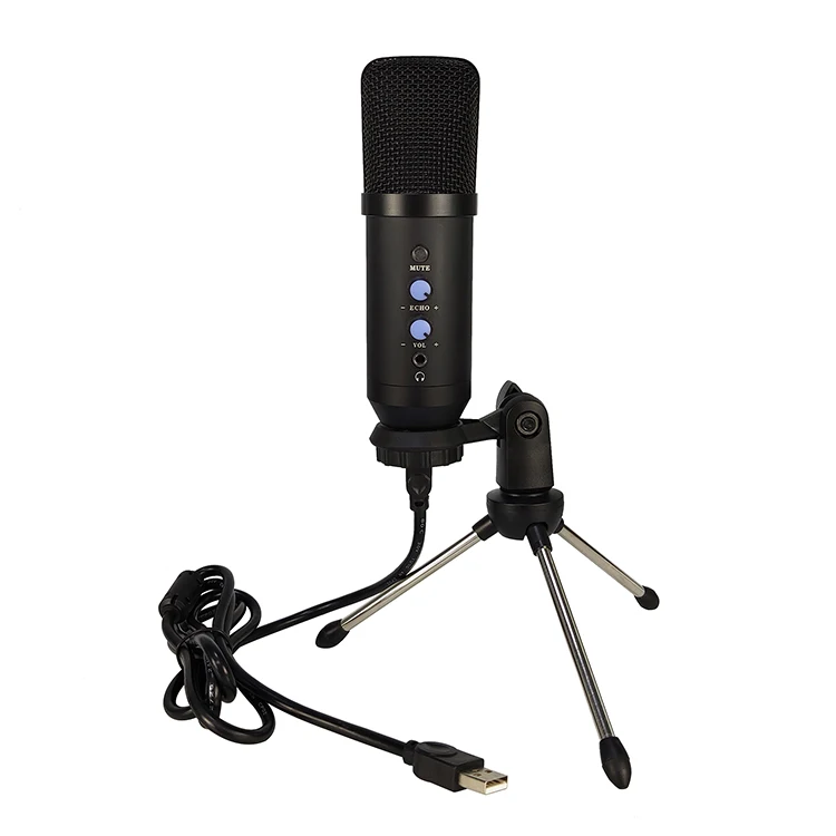 Bm 700 Mic Home Computer Condenser Gaming Pc Mini USB MicrophonUsb Mute Microphone with ECHO and VOL Gain