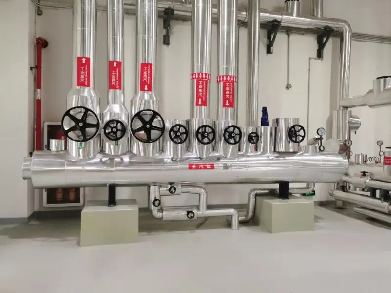 
Economic and reliable capacity 10 ton steam hot water condensing boiler 