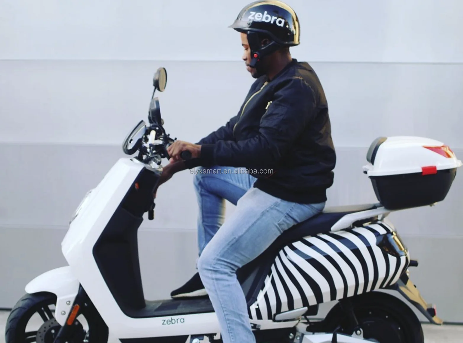 Elyx Zebra Electric Scooter Battery 60V 30AH 18650 Cell DAZZ Lithium Ion Battery 2000W Ebike Scooter Motorcycle Battery Pack