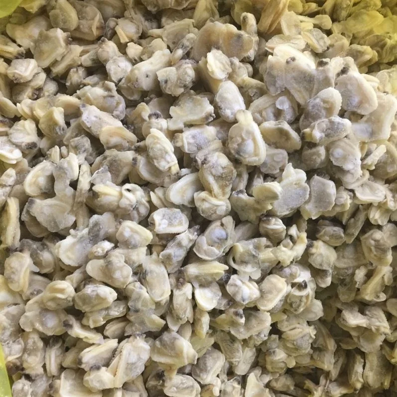 
Top Grade Selected Short Necked Clam Meat Factory 