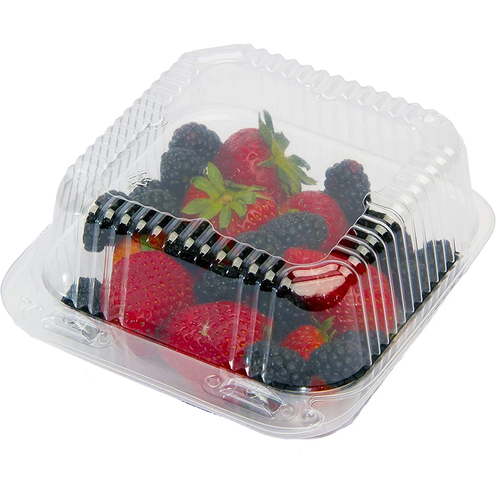 New On Market Customized Fresh Fruit Packing Boxes Disposable Plastic Clamshell Kiwi Fruit Packaging Container Box