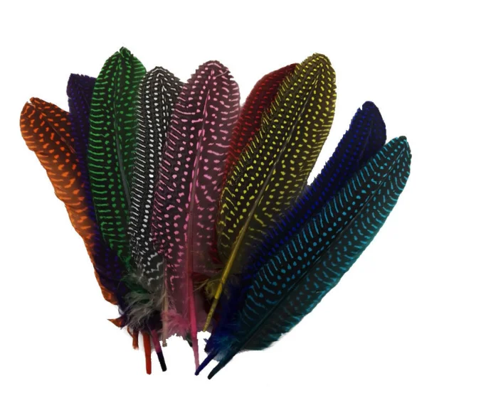 Cheap Dyed Guinea Fowl Feather Bird Feather for Decoration