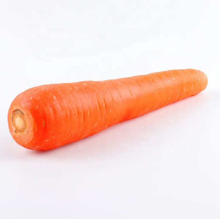 Семена Моркови, семена красного фрукта, редиса, четырехсезонные Семена овощей