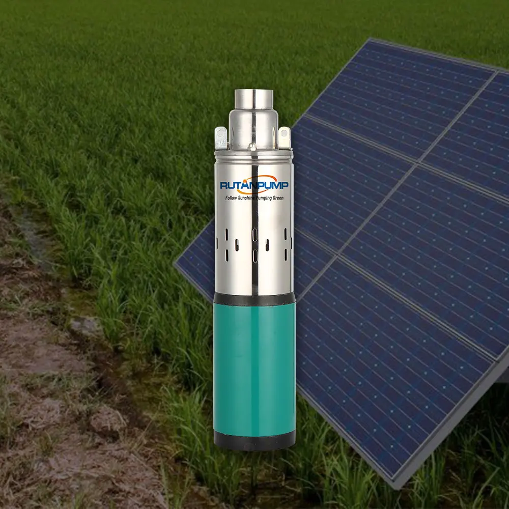 RUTANPUMP solar submersible water pump solar irrigation pump 12V DC Screw Solar Pump System for Agriculture