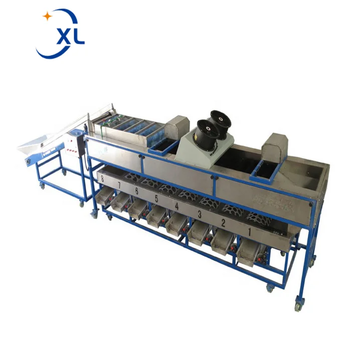 Fruits Washing Grading Machine CE