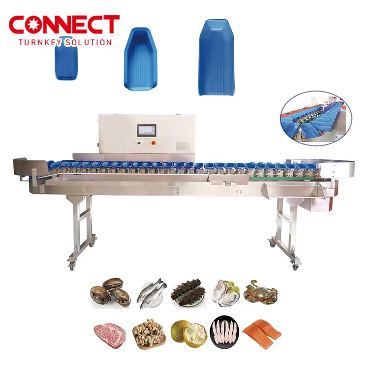 200 300PCS/Min chicken duck poultry slaughtering processing belt weighing and grading machine for small scale slaughtering house