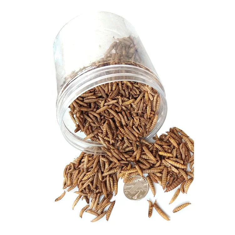 animal feed dried bsf larvae insect