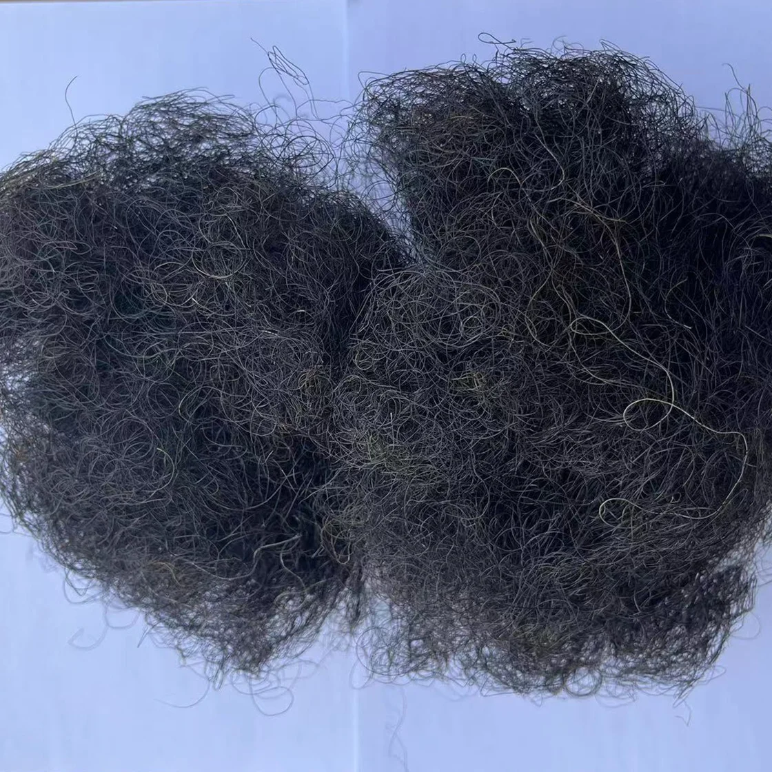 Factory wholesale Washed good quality clean curly horse hair for mattress Mongolia Horse Tail Hairs