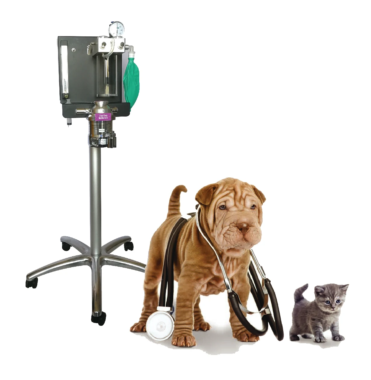 
Reliable Vet Anesthesia Machine For Animal Sugery Using 