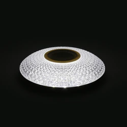 Hot sale led ceiling light blueteeth speaker music home office hotel RGB decor dimmable light fixtures app led ceiling lamp
