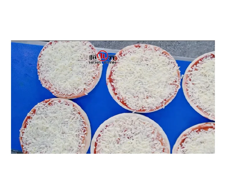 Pizza cheese sprinkling machine pizza topping machine Automatic  for rectangle square pizza base