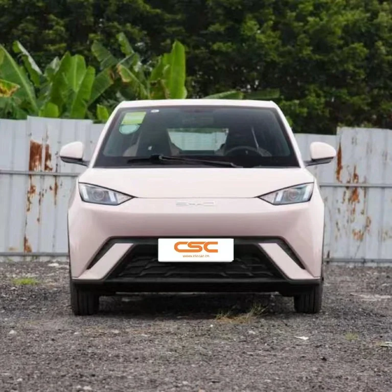 Small Electric Car Option with Eco-Friendly Design and Affordable Pricing