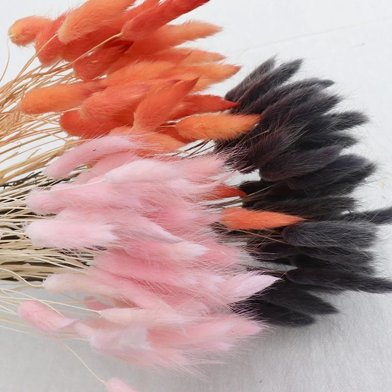 Yunnan Hot Sale Bunny Tails Grass Home Decorative Dried Flowers Black Lagurus Ovatus