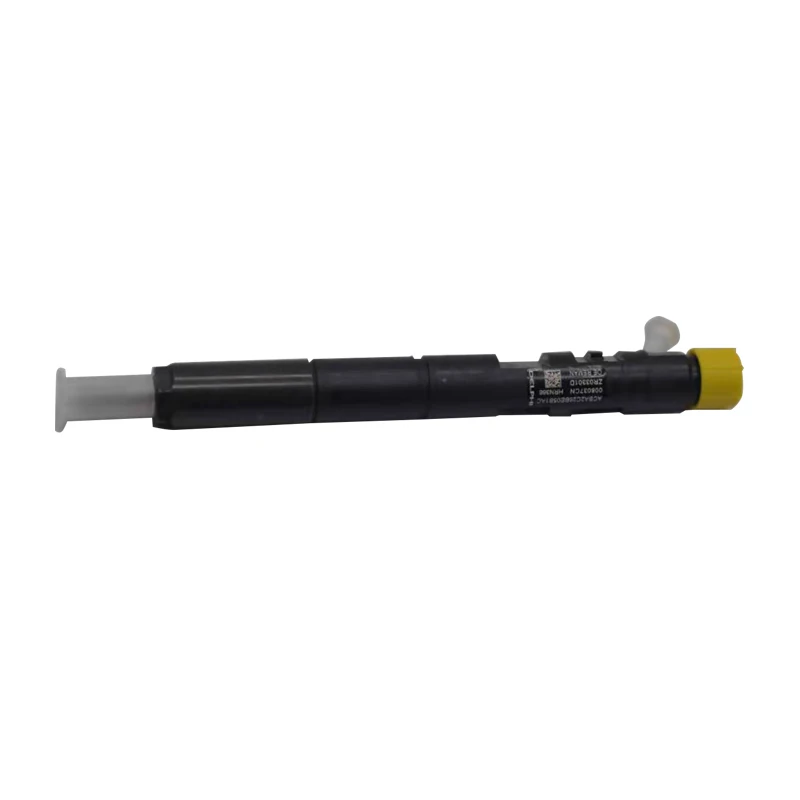 For Delphi Common Rail Injector For JMC Transit Jianglin EJBR03301D 03301D