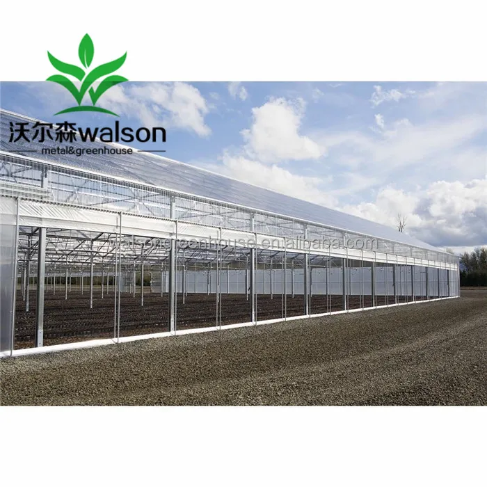 China Factory Export Cheap Greenhouse Farm Green House Design For Agriculture Production