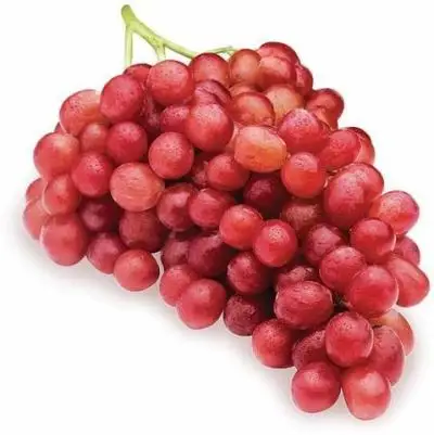 Superior seedless Fresh Sweet Honey Red Grape... for sale