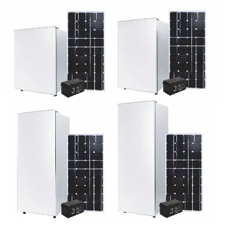 Solar Walk In Cold Room Storage Refrigeration Panel Compressor Containers Freezer For Fruit Fish Meat