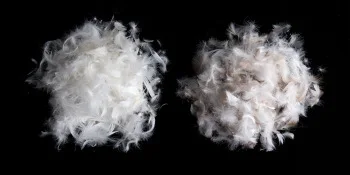 
Washed white duck feather used for blanket and cushion 