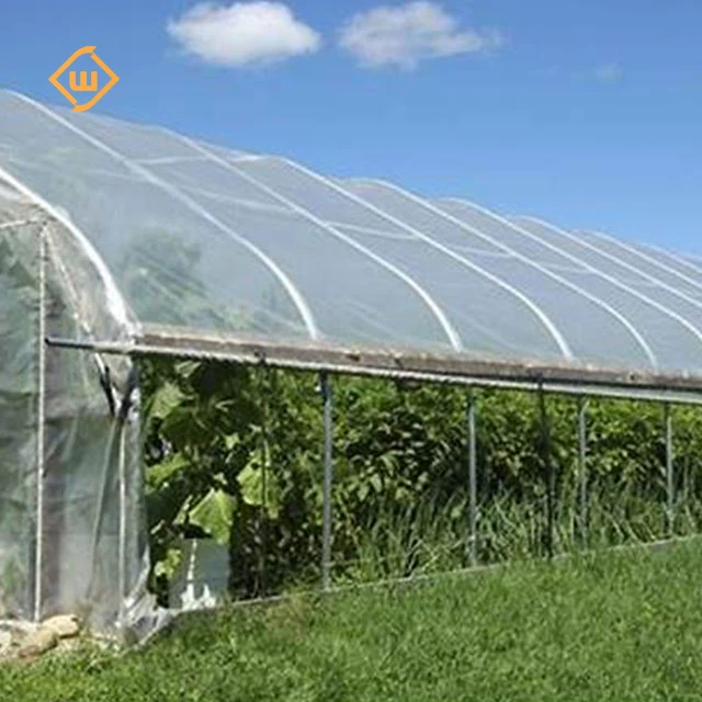 Best-selling galvanized steel structure ventilation system single-span greenhouse for growing tomatoes