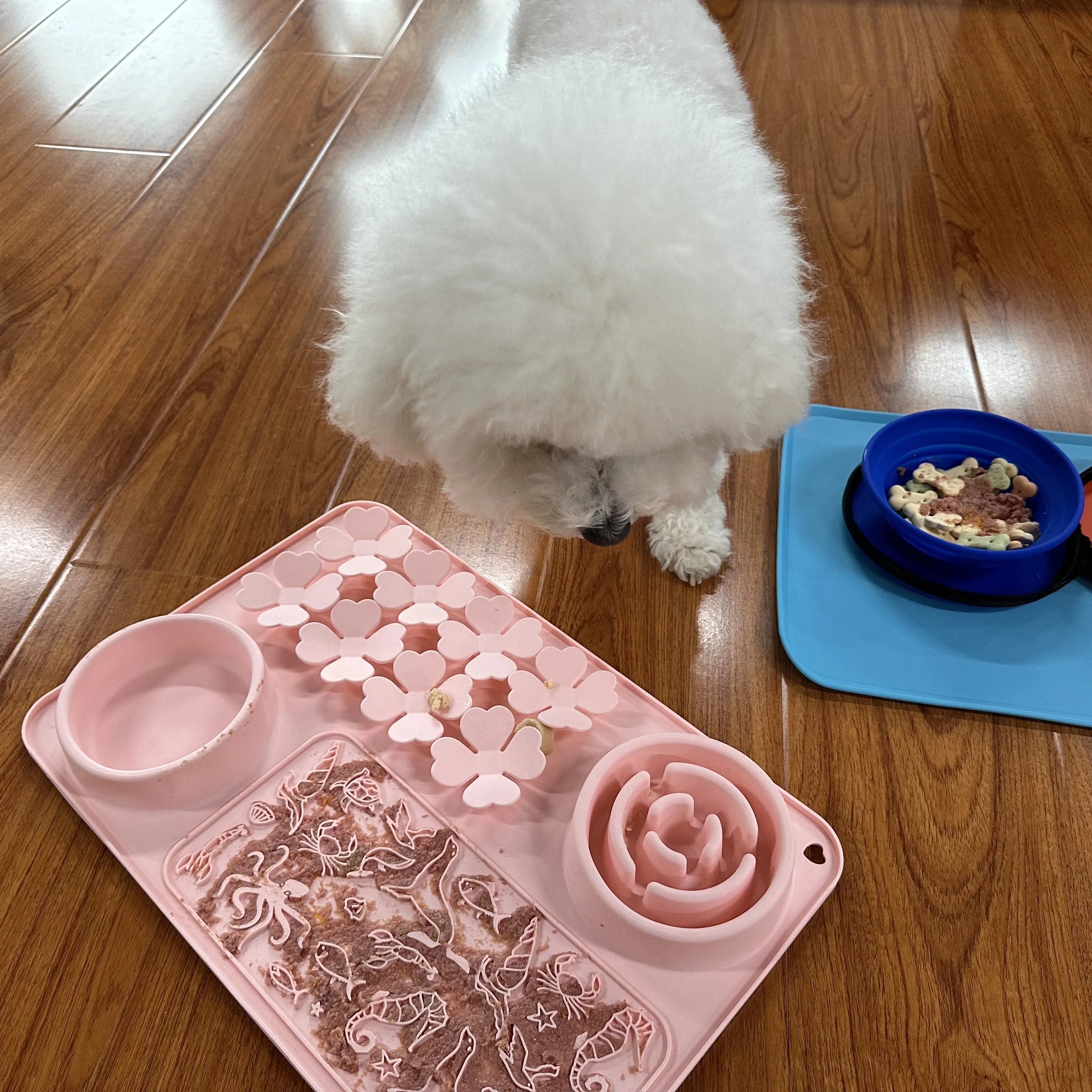 Licking Mat for Dogs & Cats 2 Pack with Suction Cups Dog Peanut Butter Lick Pads for Boredom Reducer Perfect for Bathing Groomin