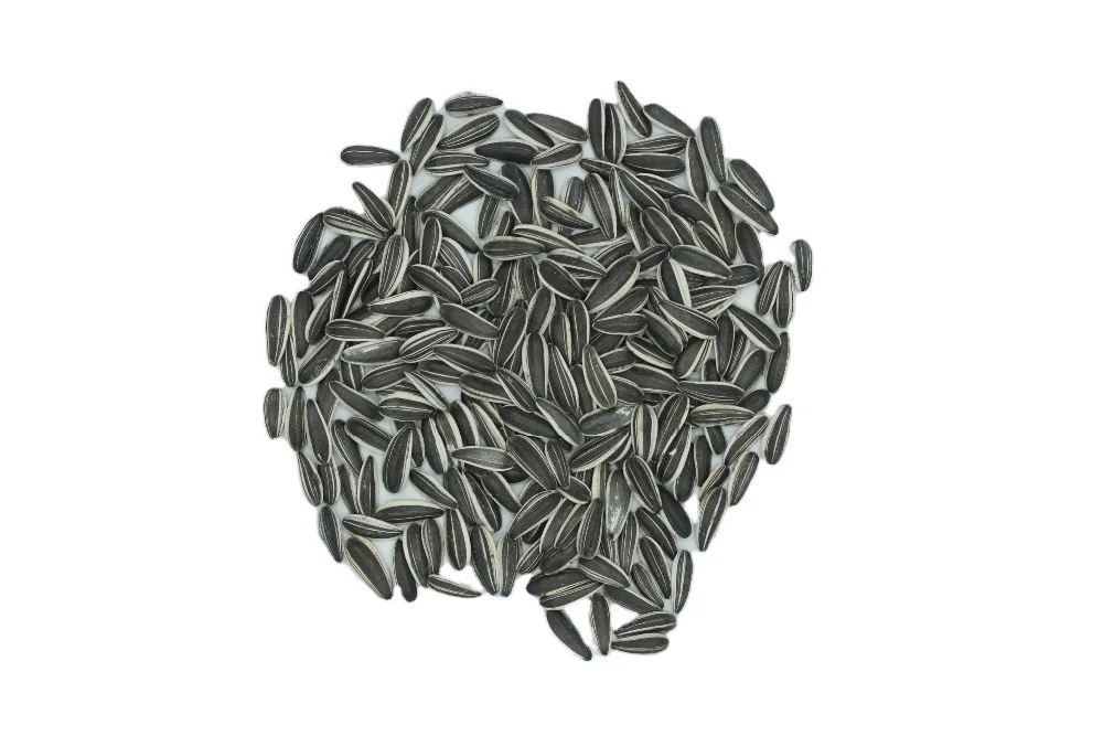 Roasted Sunflower Seeds  Mouth Friendly Recipe for All Day Snacking Chinese Factory In Bulk