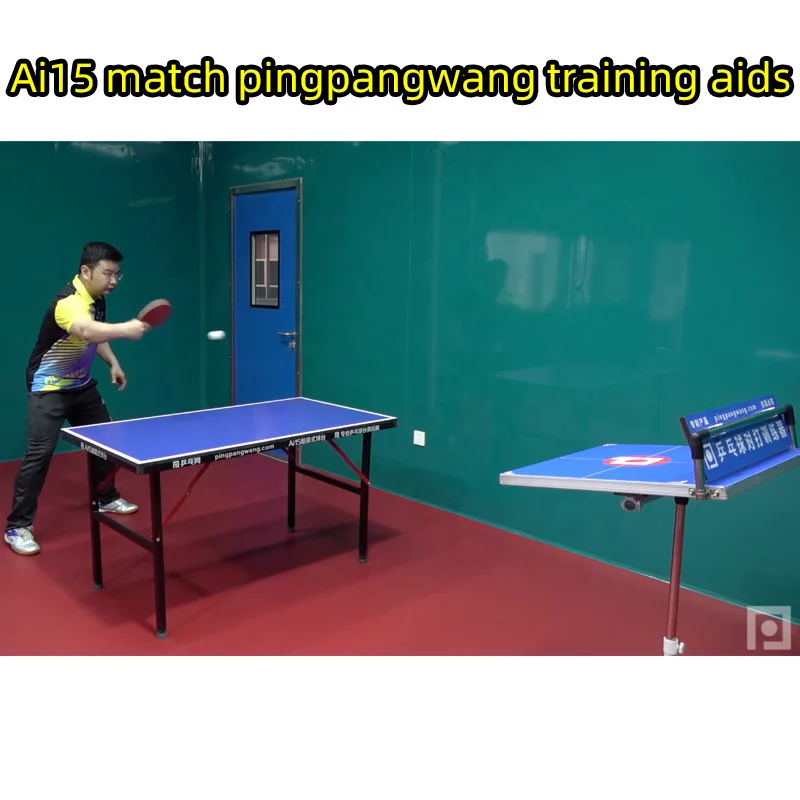 PINGPANGWANG Ai15 assembly type table tennis tables Portable pingpong Training Equipment in indoor OEM