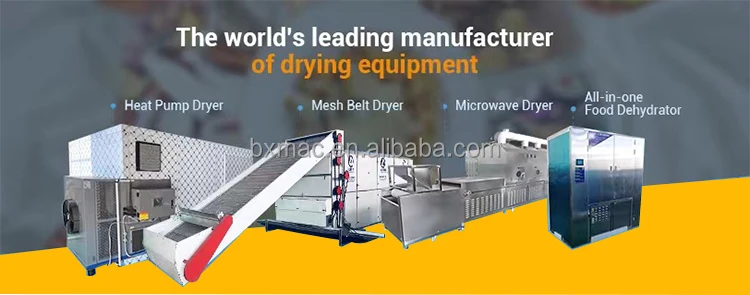 belt-dryer_01