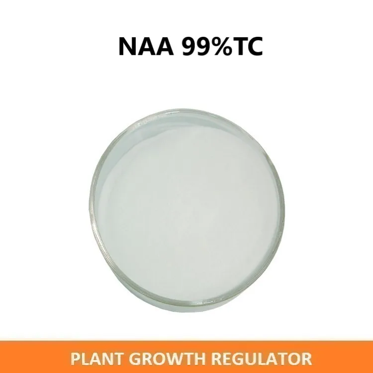 Planofix chemical auxin rooting hormones NAA 98%TC 1-naphthaleneacetic acid powder cas 86-87-3 planofix growth regulator NAA