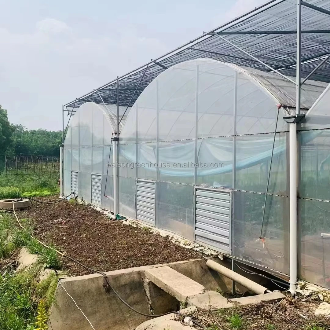 multi span plastic agricultural greenhouse with hydroponic system wide span greenhouse for strawberry growing