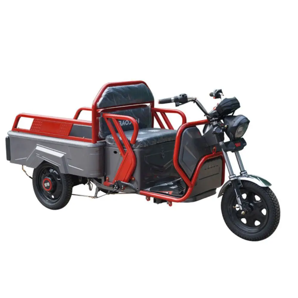 Cargo scooter 650w electric three wheeled tricycle heavy delivery mountain climbing with 1.1M electric vehicle delivery box