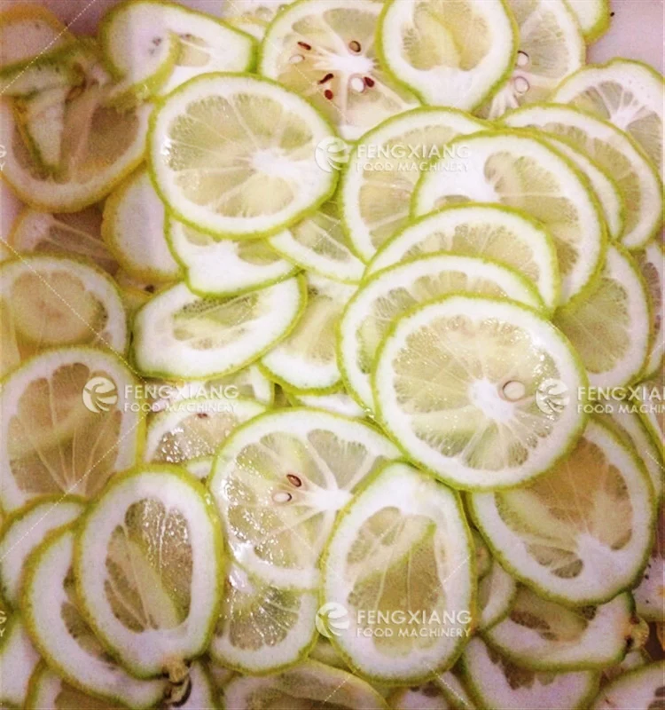 FC-501 Automatic Electric Carrot/Papaya/Taro Potato Melon Slicing Shredding Cutting Machine.