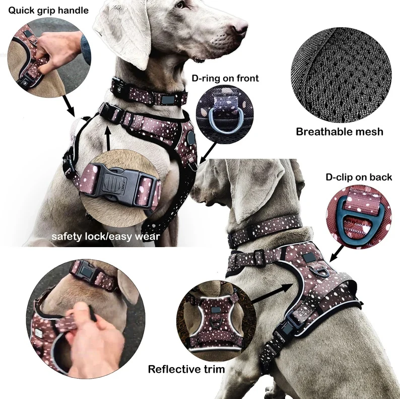2024 Classic Best Selling Oxford Adjustable Dog Harness And Leash Collar Set With Premium Raw Material