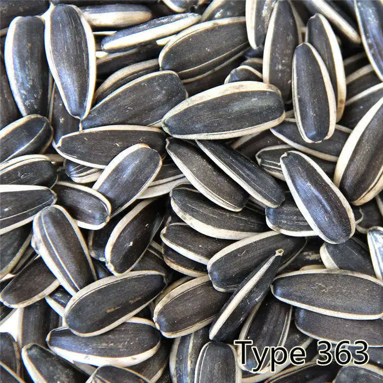 High Quality Chinese Large Particle Size 363 Sunflower Seeds 25KG/Bags Dried Sunflower Seed cheap sunflower seeds