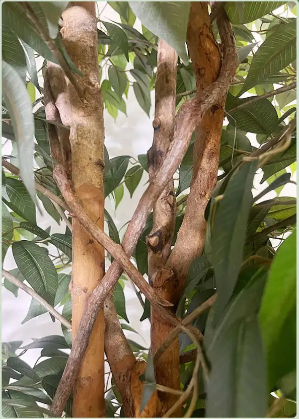 Factory Wholesale Artificial Banyan with Natural Trunk Realistic Silk Banyan Leaves  Artificial Plants for Home Indoor Decor