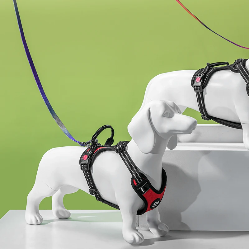 LC-W Dog Mannequin Cute Pet Clothes Display Stand Full Body Fiberglass Real Size Dachshund Dog Model