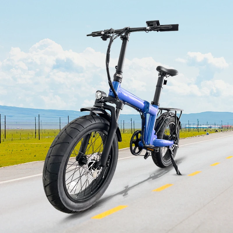 Hoya 2023 torque sensor ebike 36V350w Fat tire 20*4.0 inch folding electric bicycle