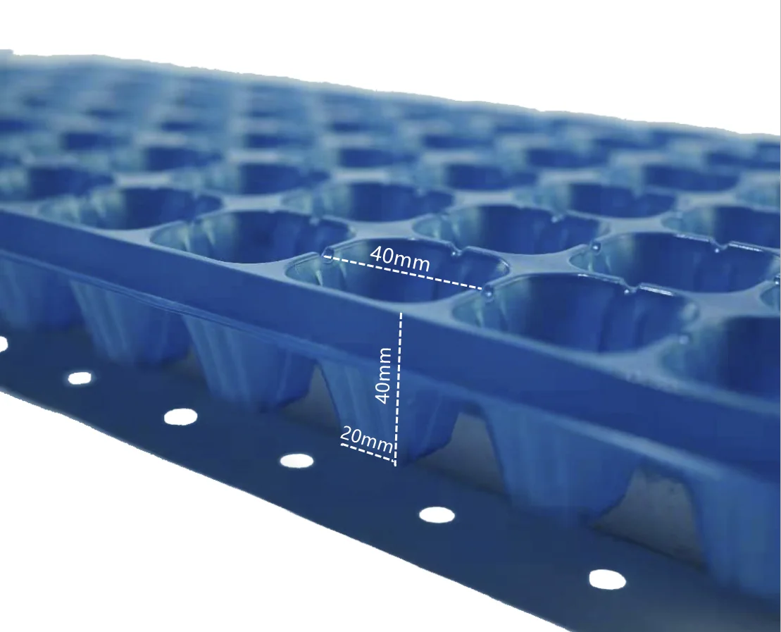 72 nursery cells  Factory Direct Produced High Quality Plastic Nursery Seedling Trays PET propagation tray