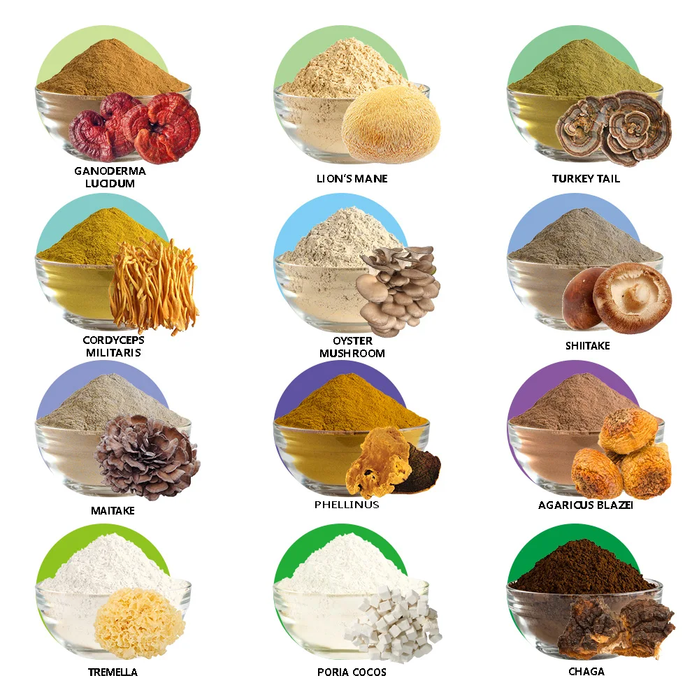 Private Label OEM Organic 12 in 1 Powerful Mix Mushroom Extract Powder Blend Lions Mane,Cordyceps,Reishi,Chaga,Turkey Tail