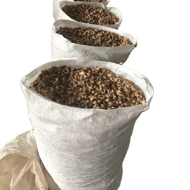 Вьетнамские высококачественные орехи кешью/ядра кешью по очень конкурентоспособной цене