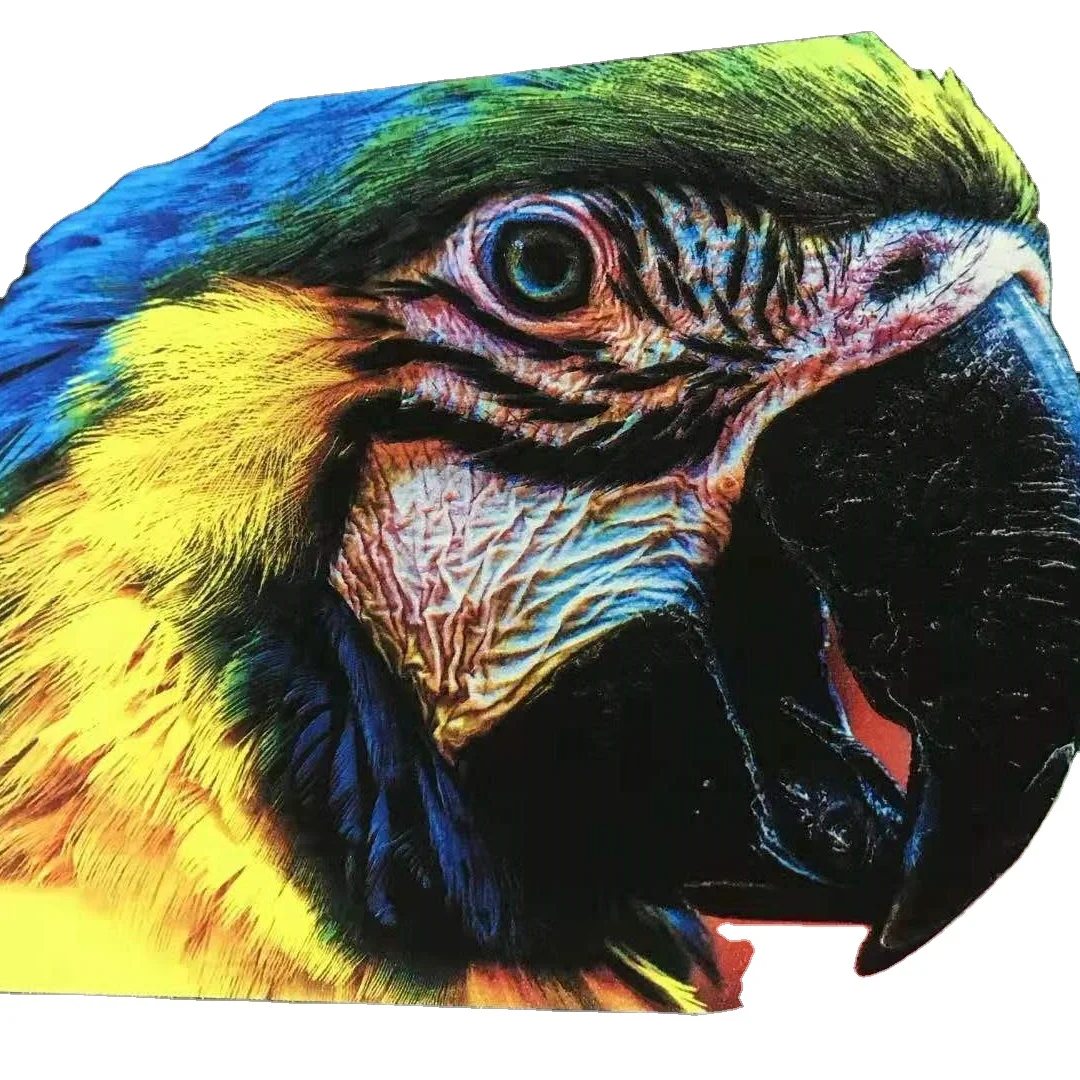 Предварительная обработка жидкости для текстильной рулон в рулон DTG Печатный 1:15/20