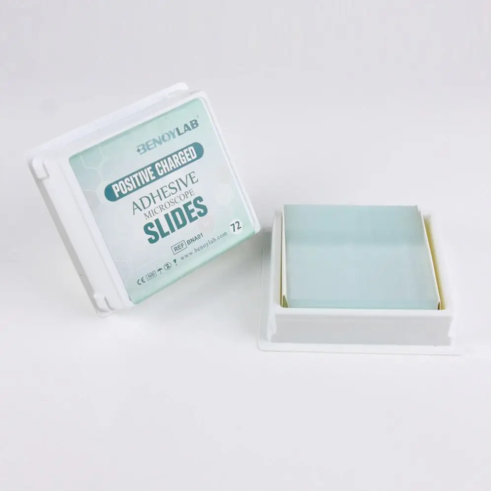 Best Quality China Manufacturer Oral Histology Pathology Microscope Prepared Slide Cover Glass