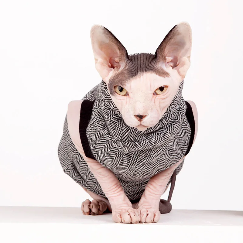 Pet clothing factory direct sales Customized high-end pet sweater pullover warm hairless cat clothes