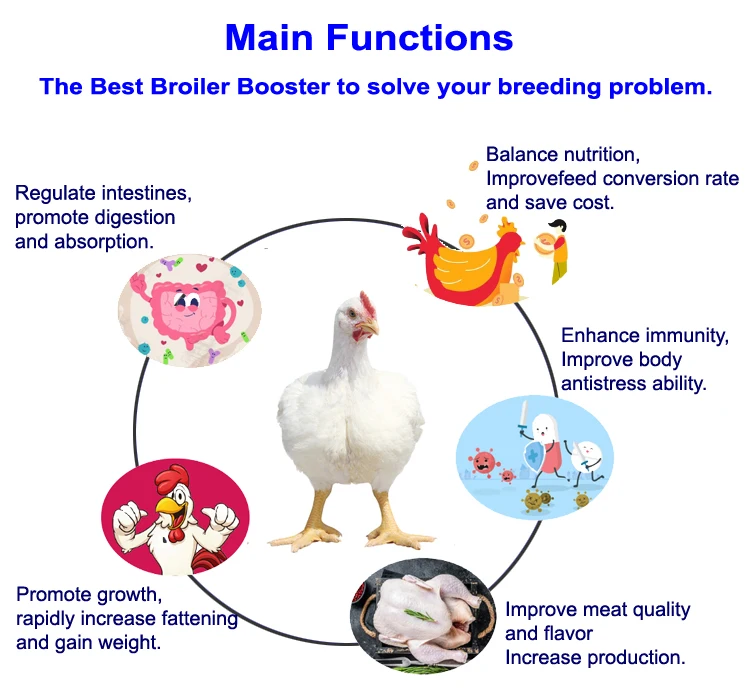 5% China supplier Poultry Feed Additive Premix feed Duck Feeding vitamins lysine growth booster